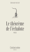 Théorème de l'échalote (Le)